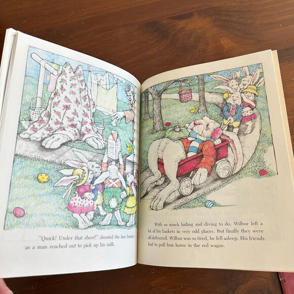 Easter Egg Bunny Storybook Set - Picture 11 of 16